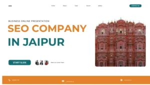 SEO Company in Jaipur
